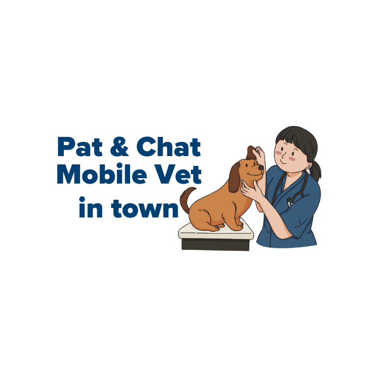 Pat & Chat Mobile Vet in Town (Consulting)